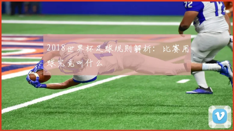 2018世界杯足球规则解析:比赛用球究竟叫什么