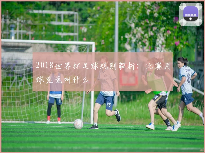 2018世界杯足球规则解析:比赛用球究竟叫什么