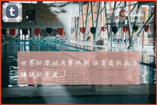 世界杯带动消费热潮 体育商机成为赚钱新渠道_1