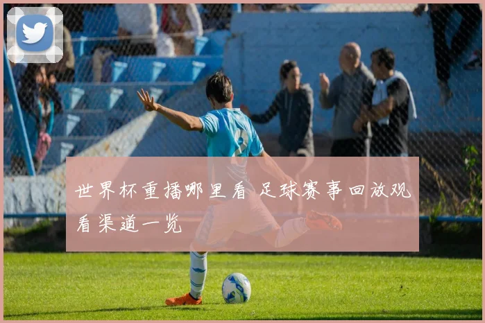 世界杯重播哪里看 足球赛事回放观看渠道一览