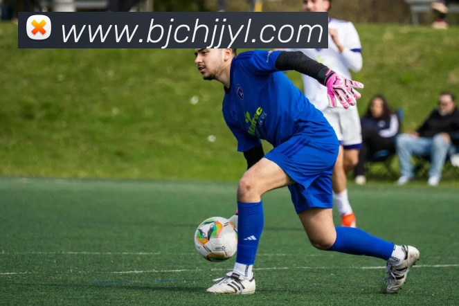 世界杯app官网平台生态图